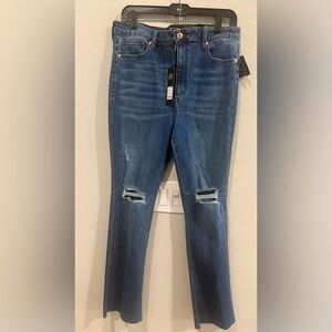 Fashion Nova Classic Distressed Skinny Jeans